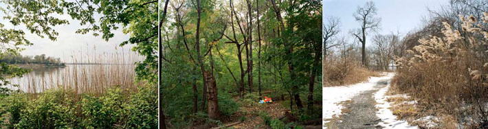 Left to Right: Udalls Park central park west silk blouse. Left to Right: Udalls Park