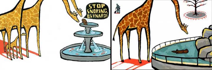 bernard.jpg